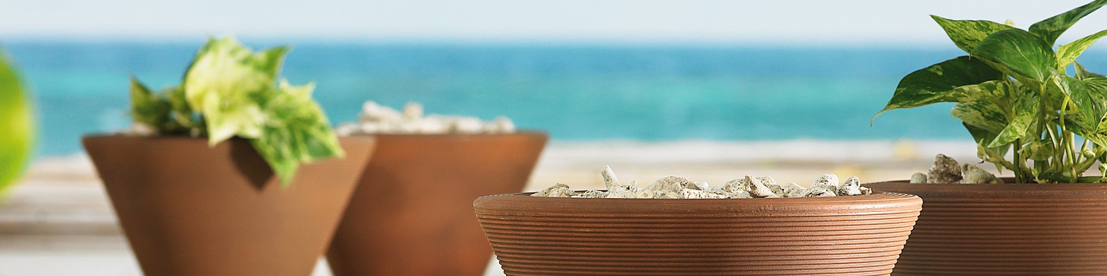 Crescent Garden Company Dotchi Llc Linkedin