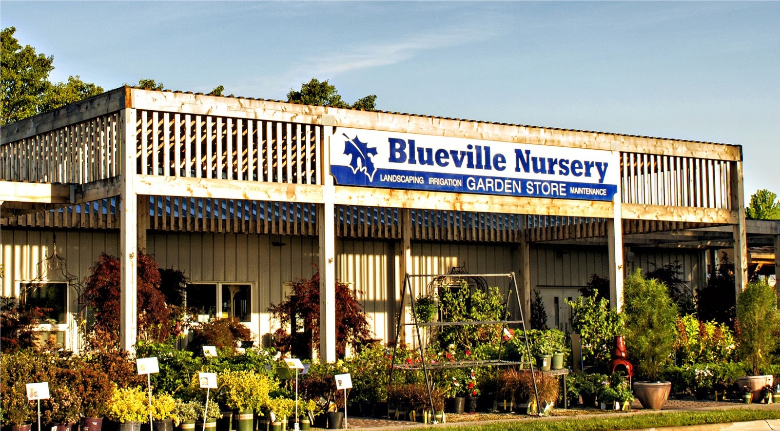 Blueville Nursery Inc Linkedin, Landscaping Jobs In Manhattan Ks