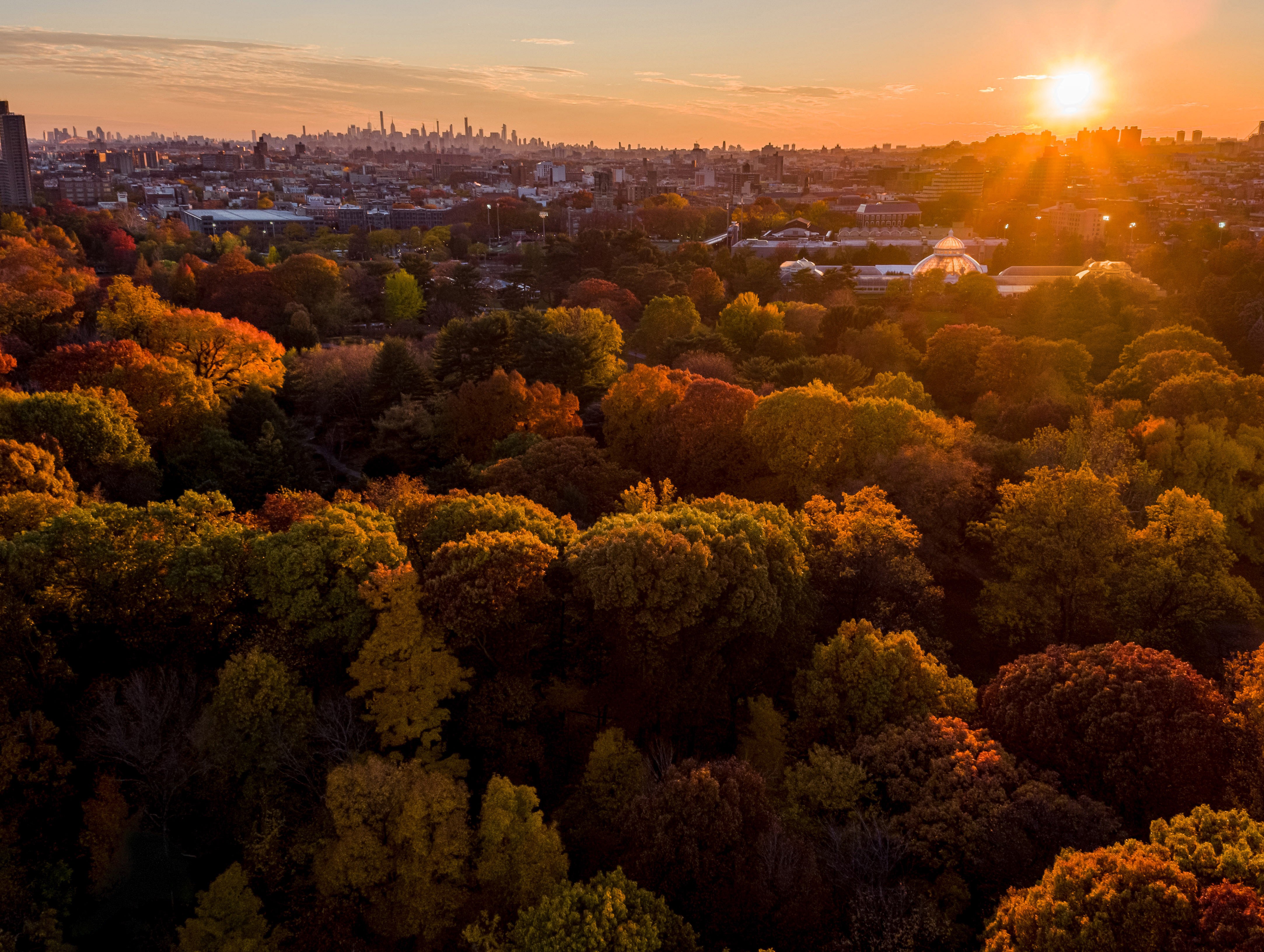 New York Botanical Garden Linkedin