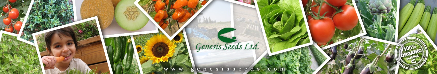 Genesis Seeds Ltd Linkedin