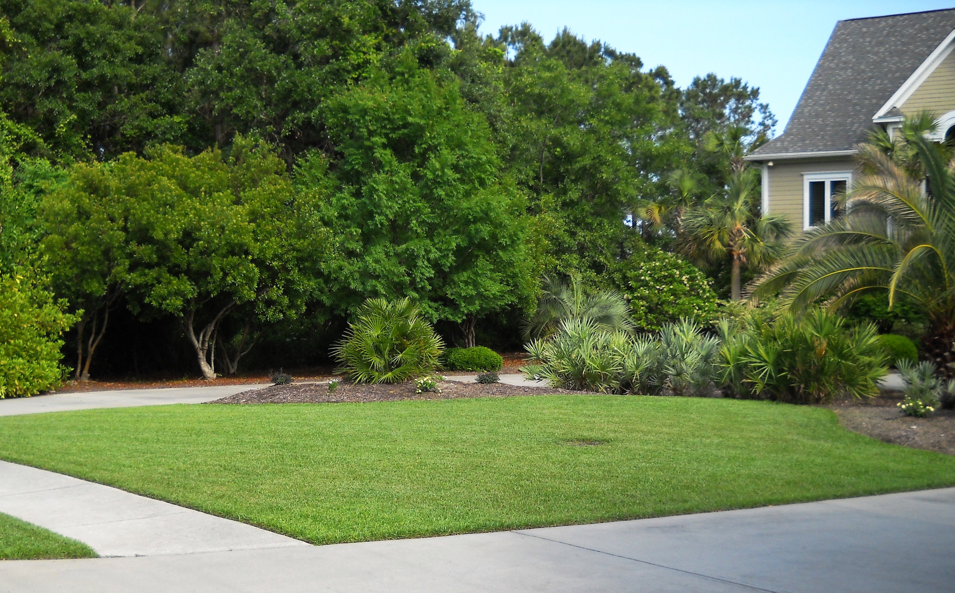 Pleasant landscapes landscaping design contractor tree trimming and removal