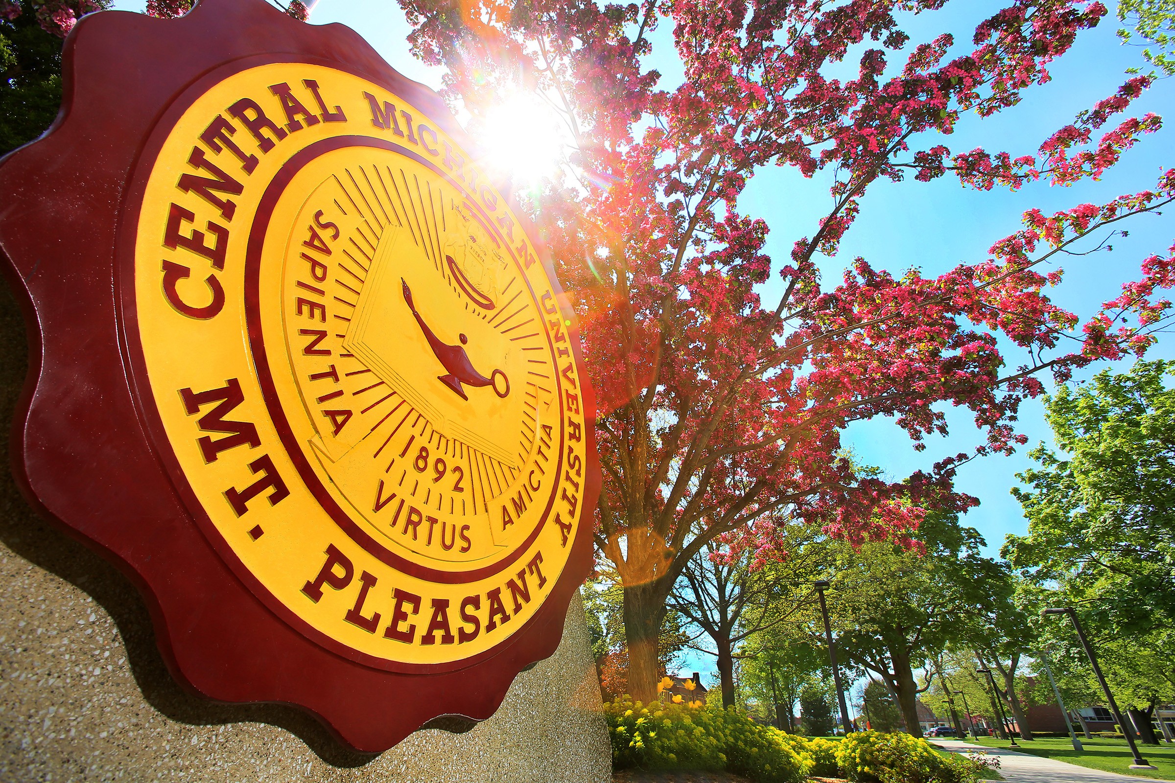 Central Michigan University Linkedin