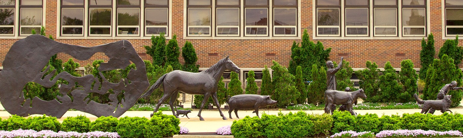Purdue University College of Veterinary Medicine & Veterinary Hospital |  LinkedIn