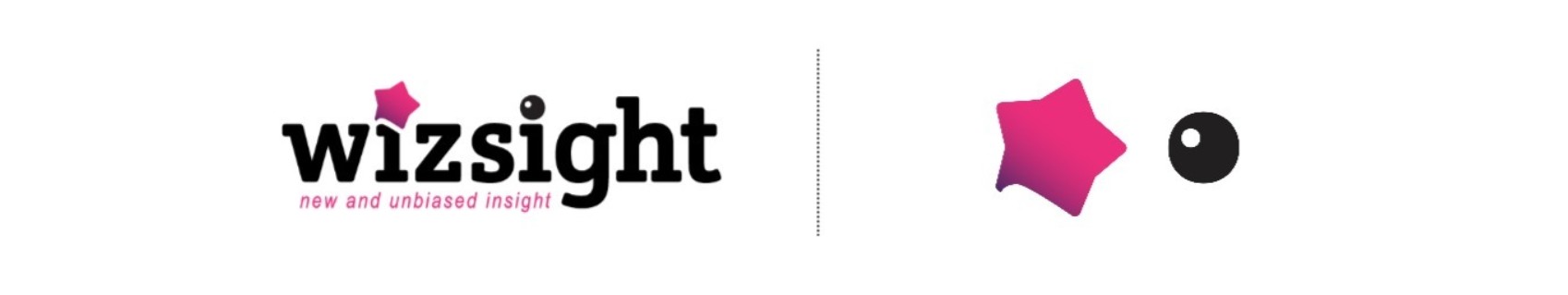 Wizsight Linkedin