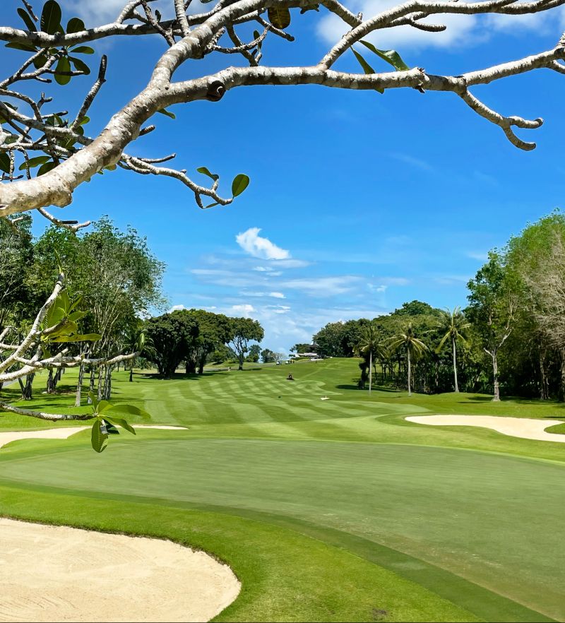 Minh Nguyen Golf Course Maintenance, Blue Tree Landscaping Reviews