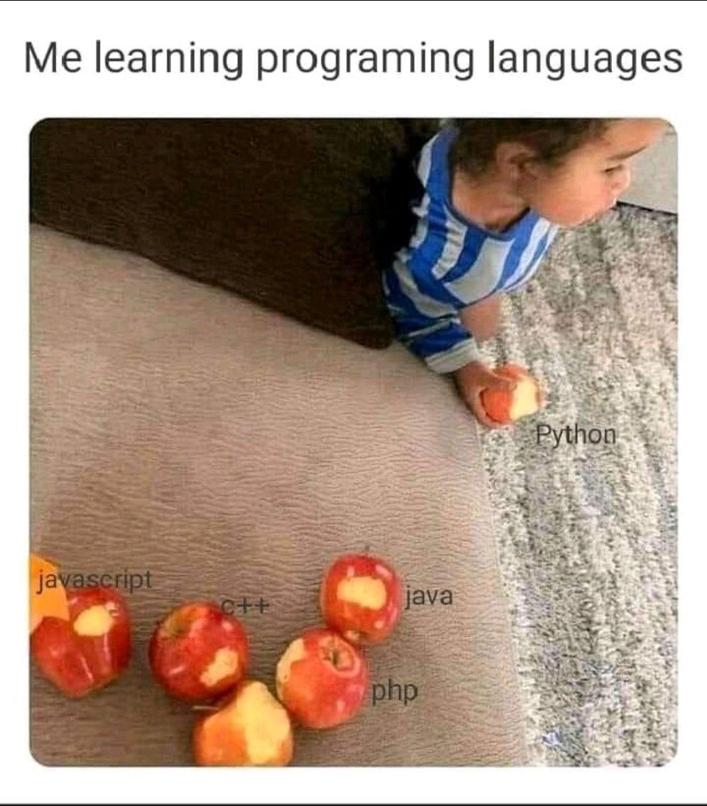 Me learning programming languages
