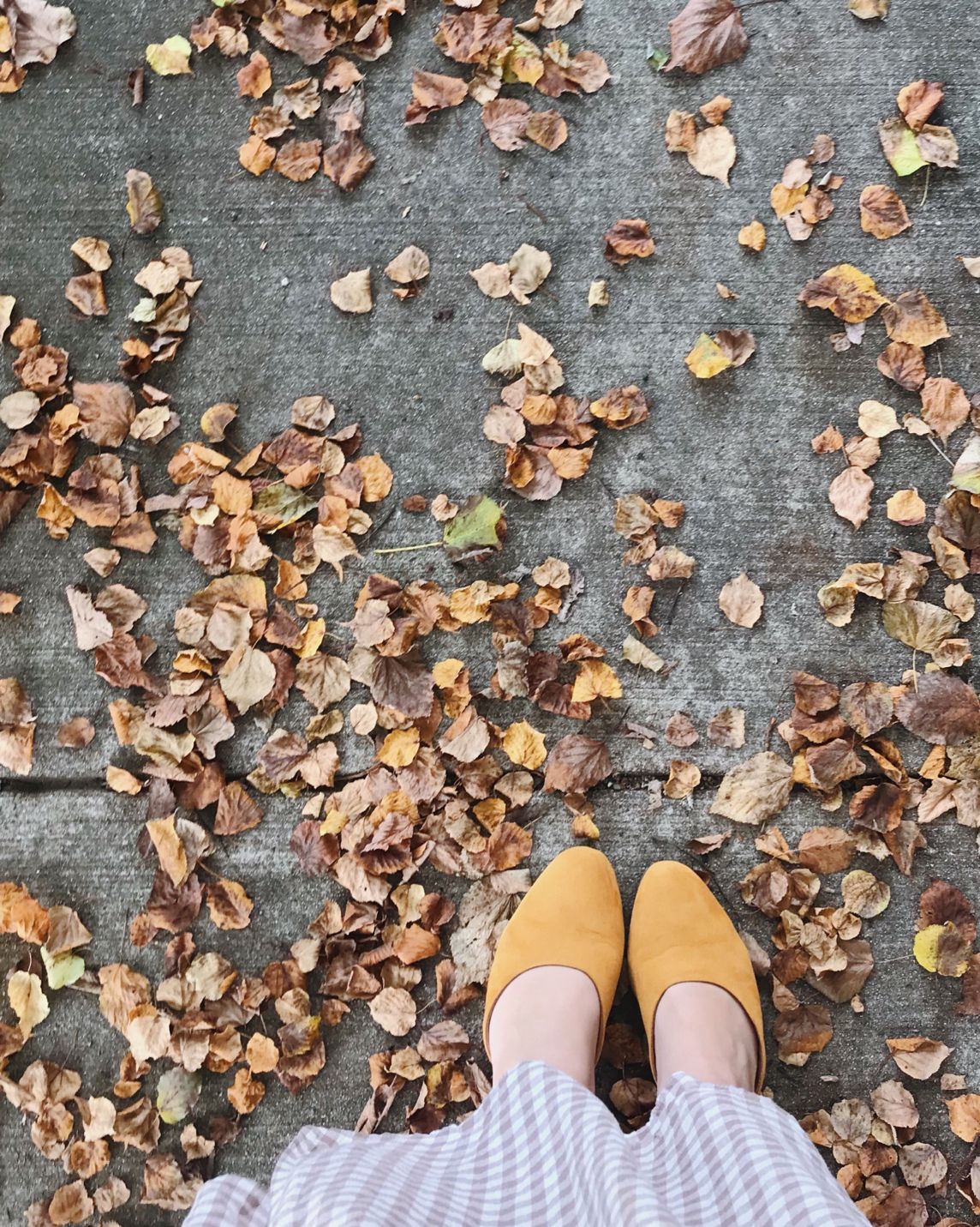 Molly Dressel on LinkedIn: Autumn has always been a season of renewal ...