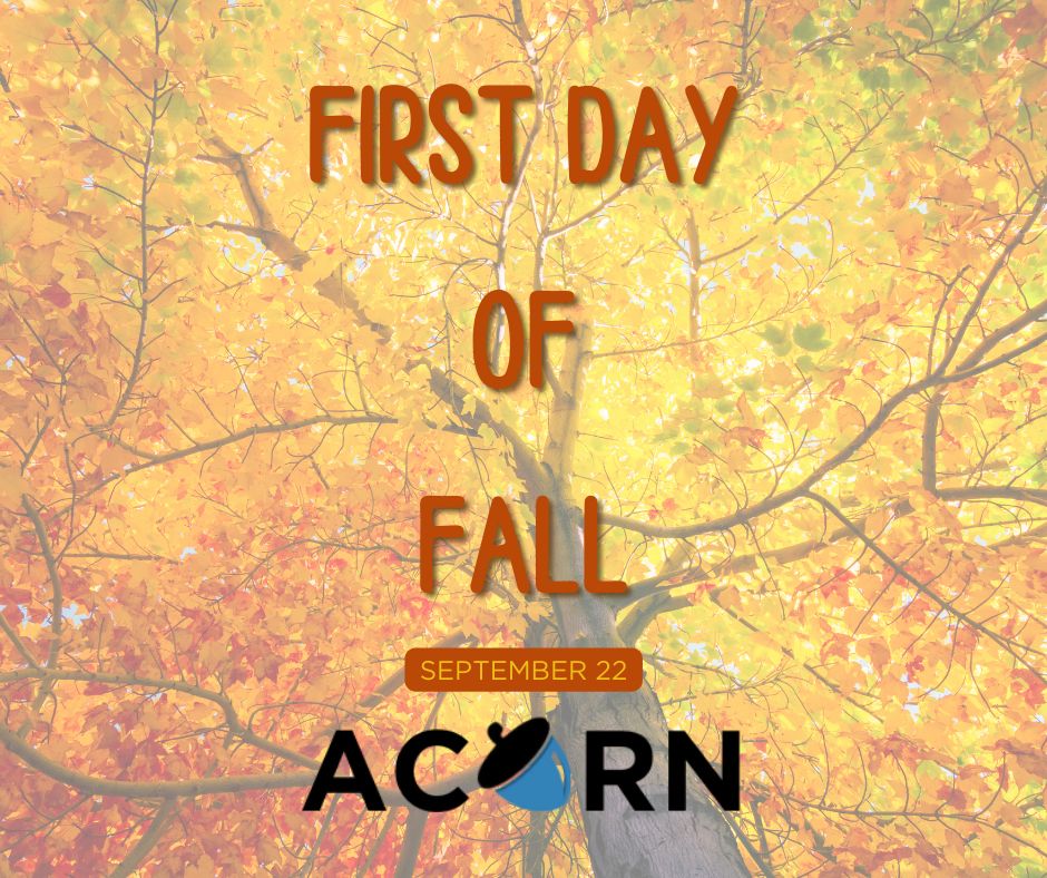 acorn-claims-on-linkedin-finally-fall