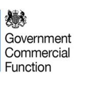 Government Commercial Function Linkedin