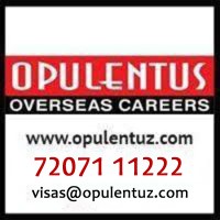 OPULENTUS - THE VISA COMPANY | LinkedIn