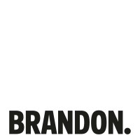 Brandon Consultants | LinkedIn