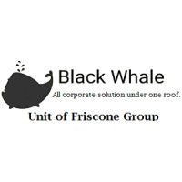 Black Whale Unit Of Friscone Group Linkedin