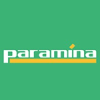 Paramina Solutions | LinkedIn