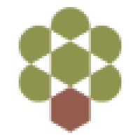 Olive Tree Capital Mission Statement Employees And Hiring Linkedin