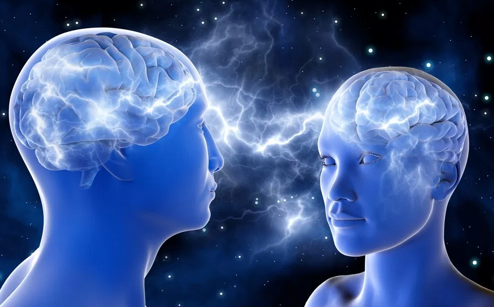 Mirror Neurons Effect - The Leadership Influence