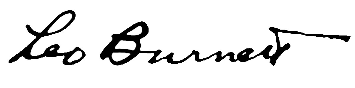 Image result for leo burnett logo