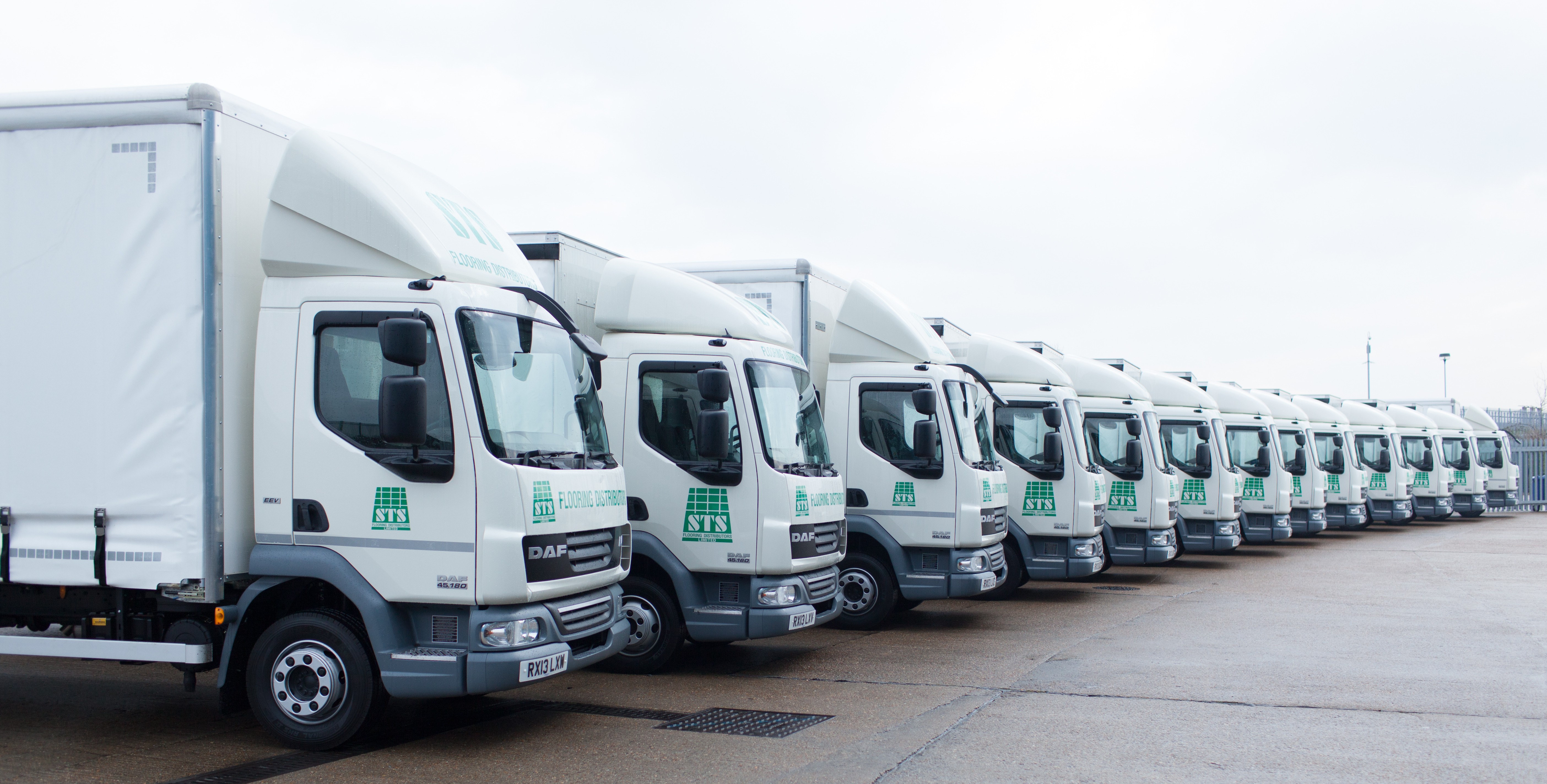 Sts Flooring Distributors Limited 领英