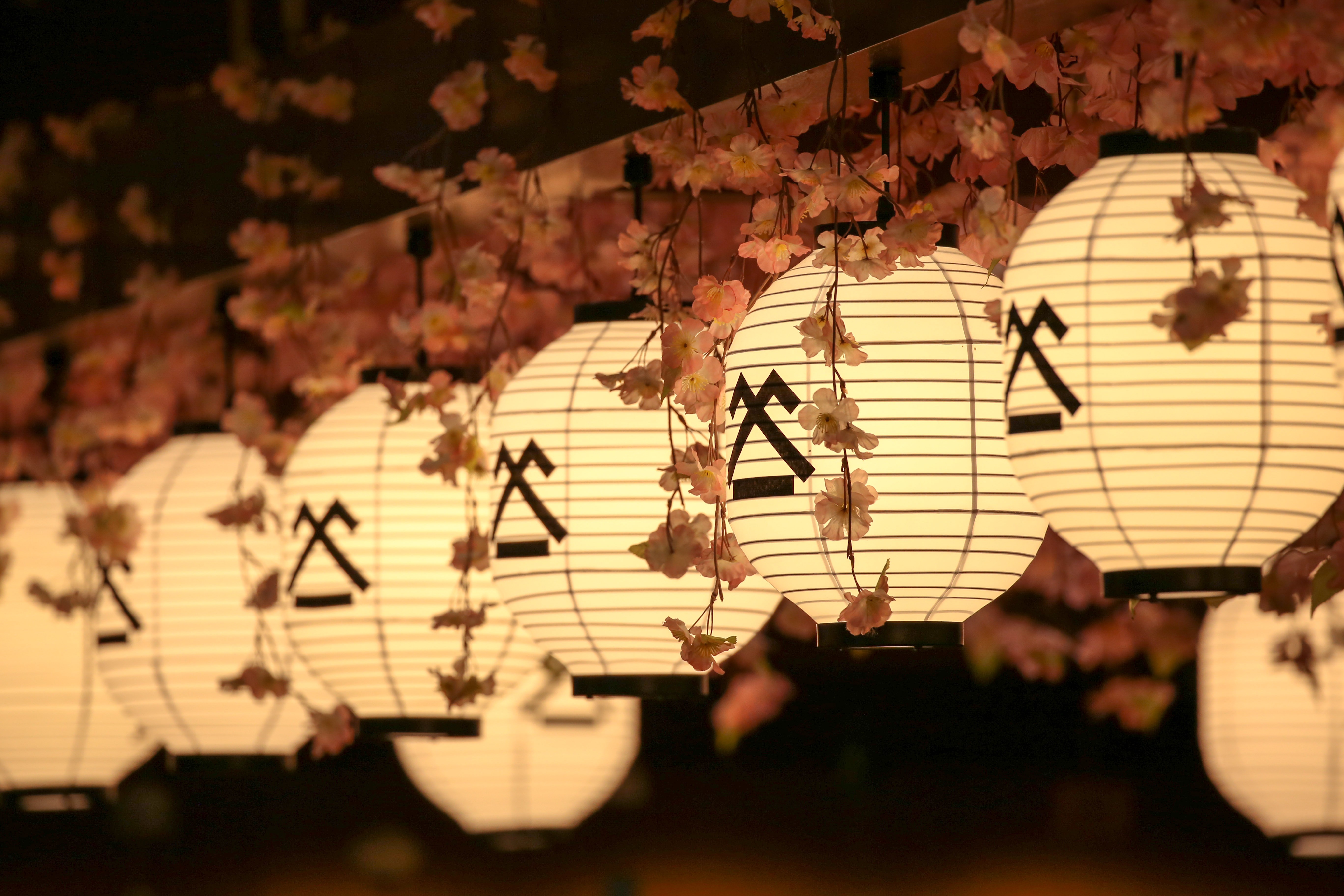 Shirokiya Holdings Inc Linkedin