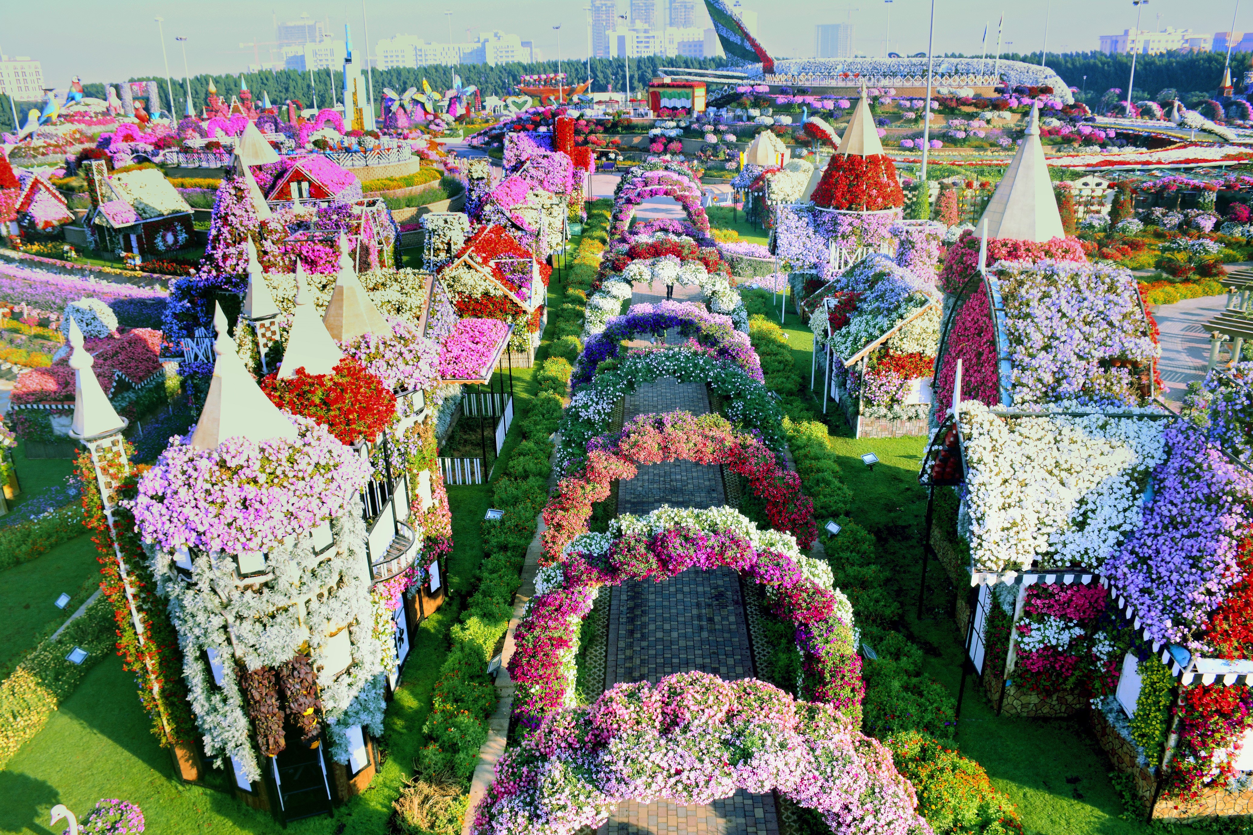 Dubai Miracle Garden Linkedin
