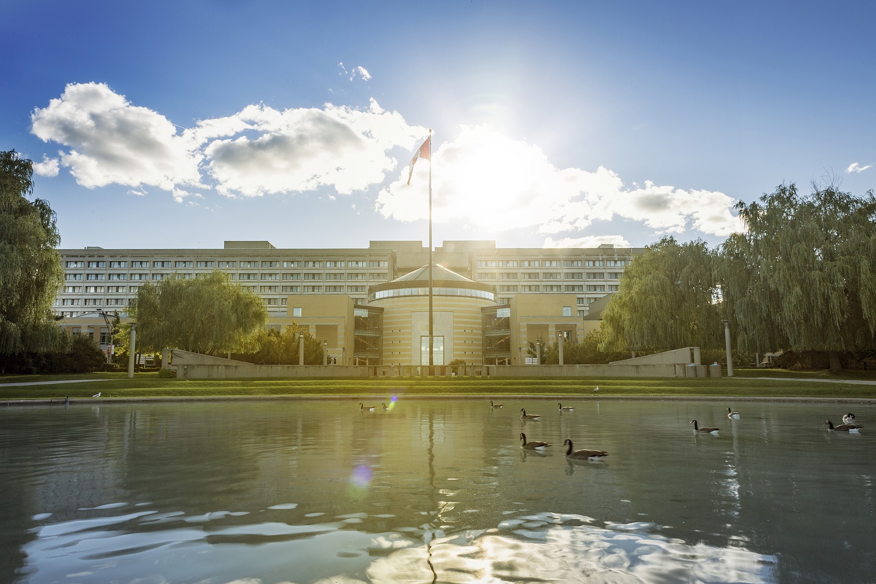 York University Mission Statement Employees And Hiring Linkedin