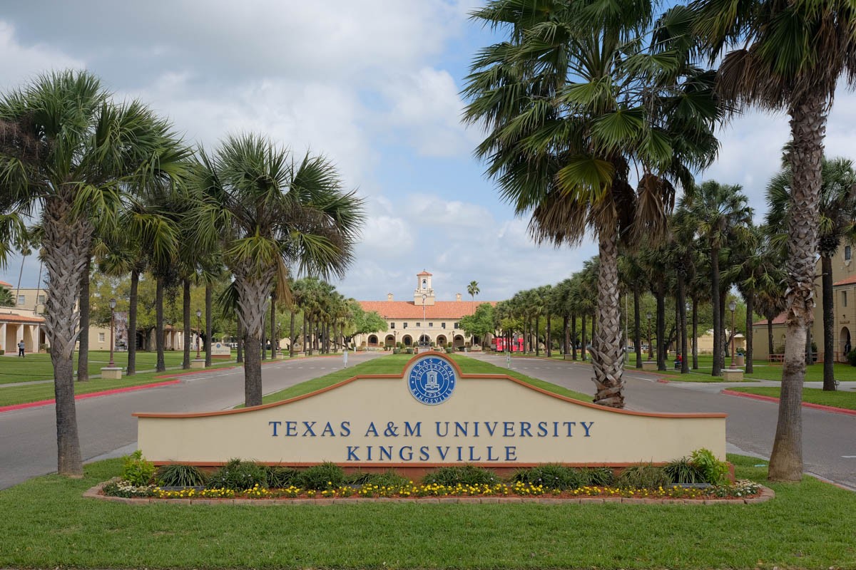 Texas A M University >> Texas A M University Kingsville Linkedin Texas A M University >> Texas A M University Kingsville Linkedin