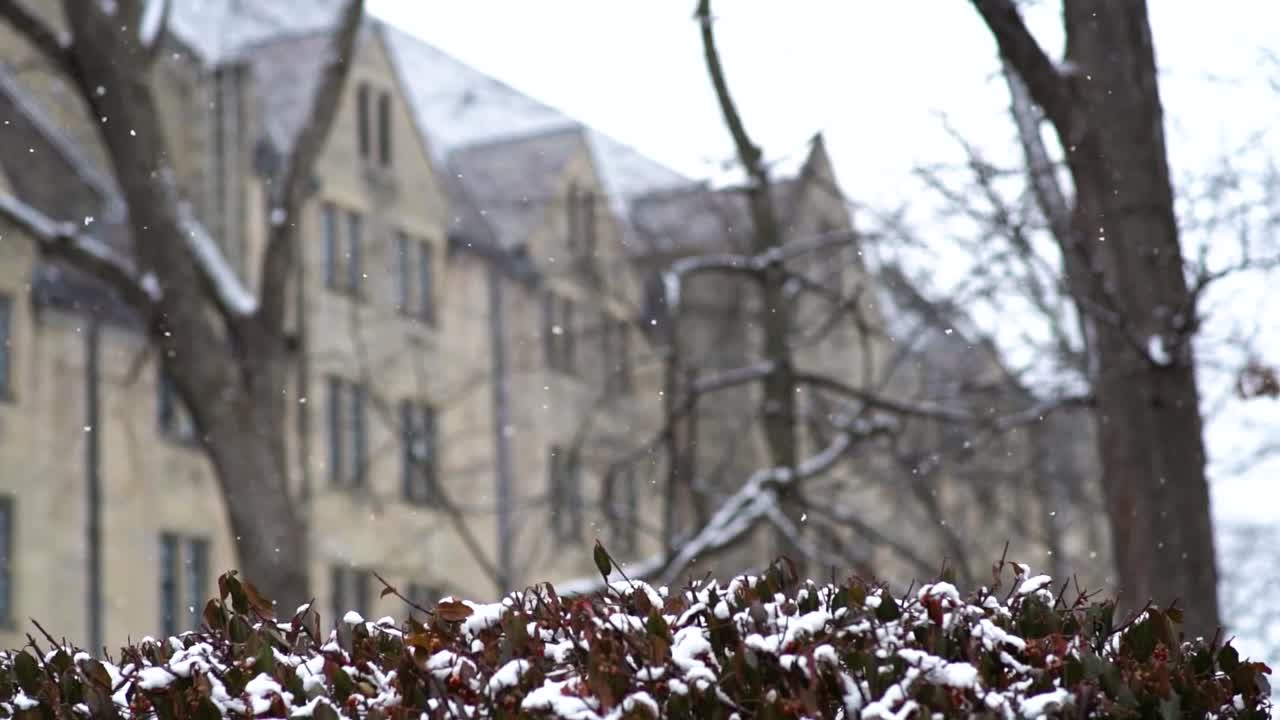 Indiana University Bloomington on LinkedIn: Campus Snow 44 comments Indiana University Bloomington on LinkedIn: Campus Snow 44 comments