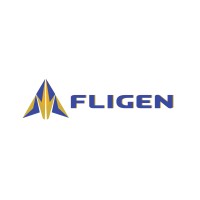 Fligen Systems PVT LTD | LinkedIn