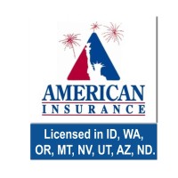 American Insurance Agency | LinkedIn