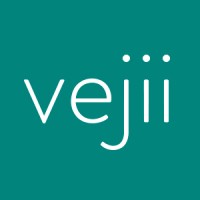 Vejii Holdings Ltd | LinkedIn