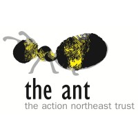 The ant