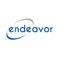 Endeavor Consulting Group, LLC | LinkedIn