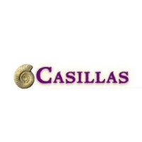 Casillas Petroleum Corporation | LinkedIn