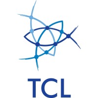 Tcl global