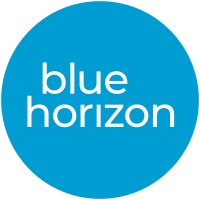 Blue Horizon Linkedin