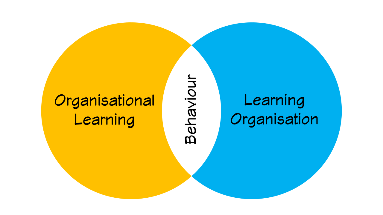 traditional vs learning organization