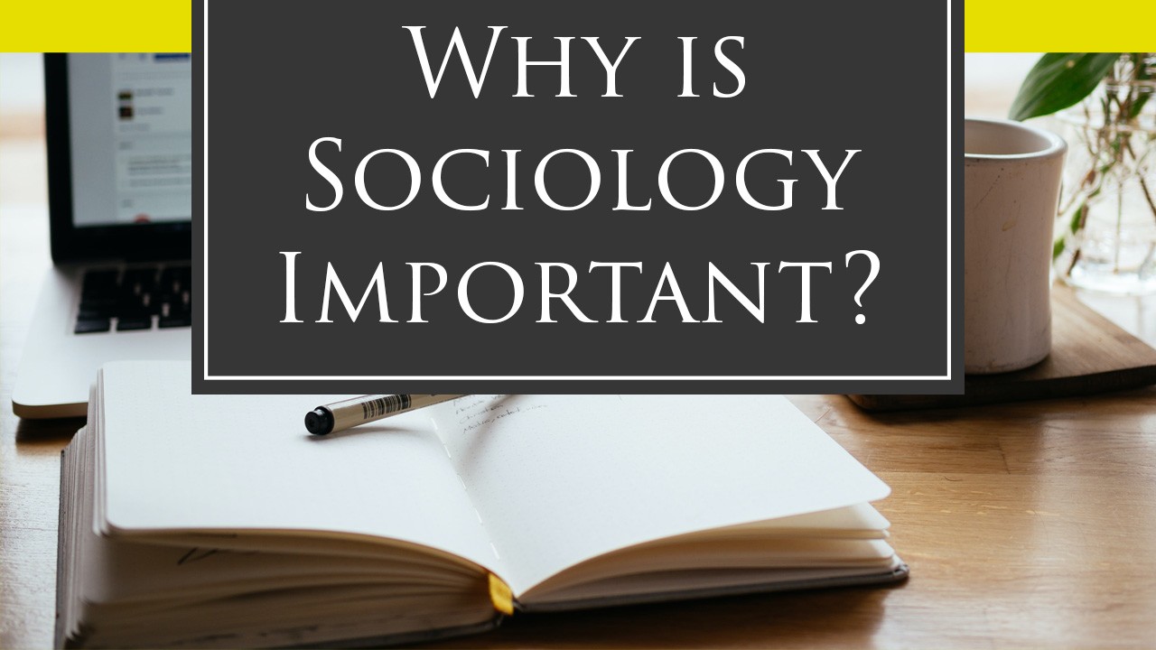 why sociology essay