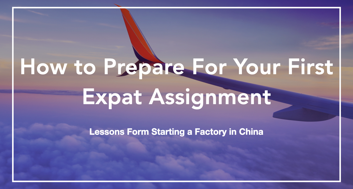 expat assignment meaning