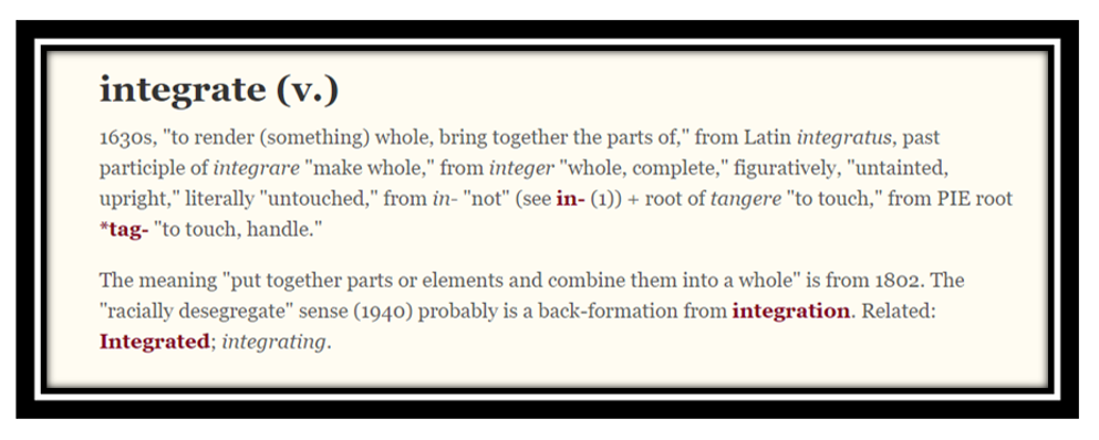 What Does Integration Actually Mean Anyway? What Does Integration Actually Mean Anyway?