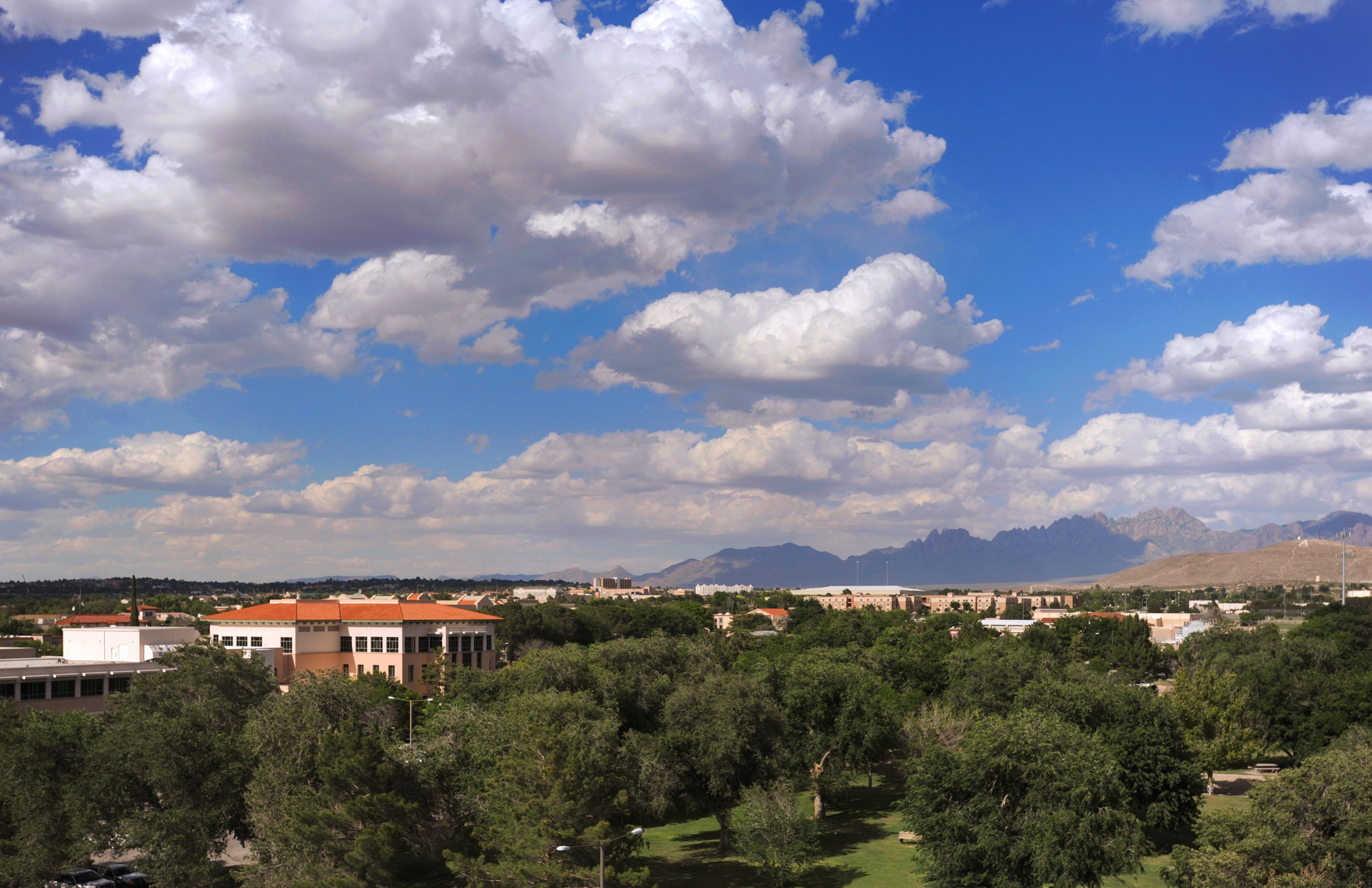 New Mexico State University Linkedin