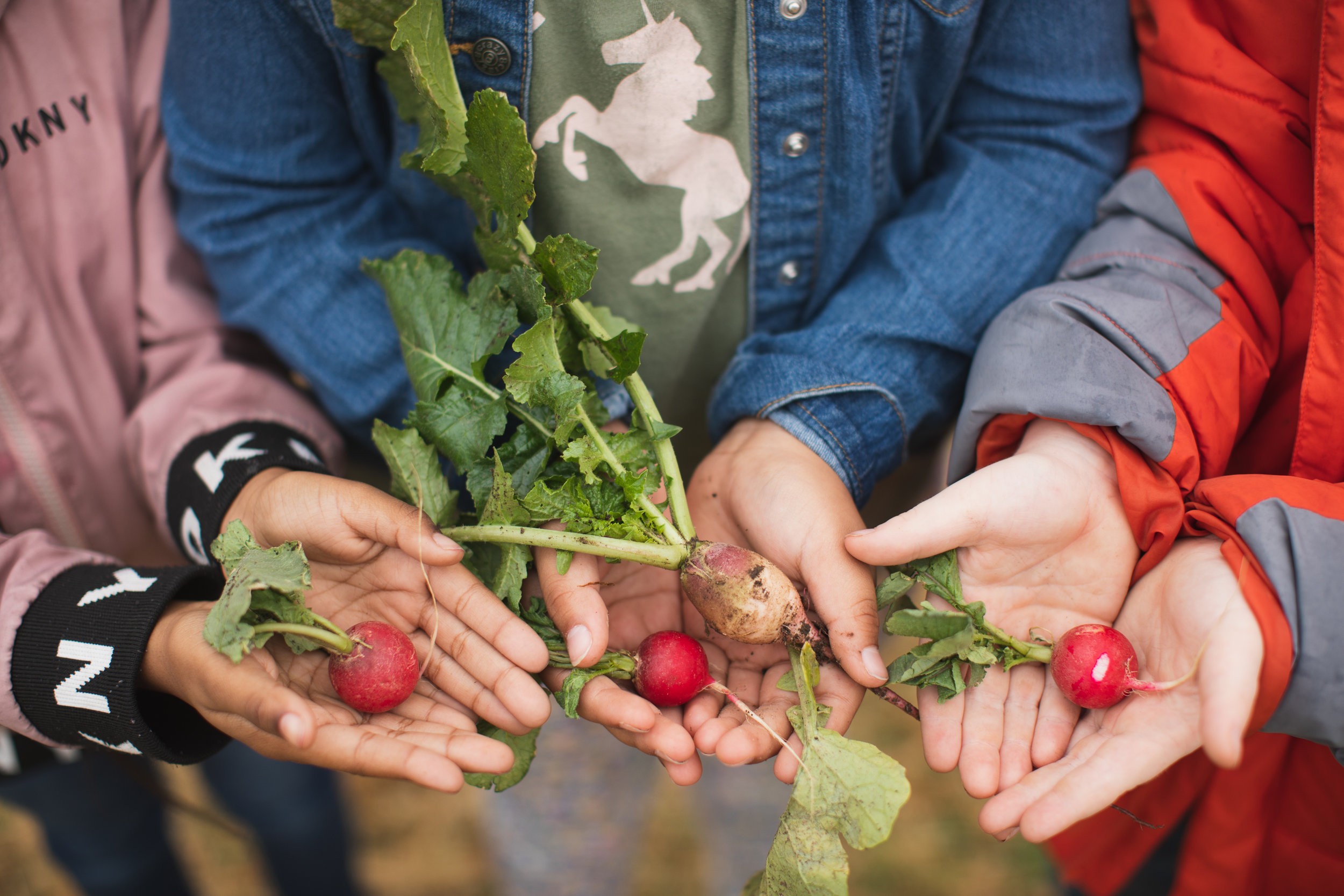 Global Gardens Linkedin