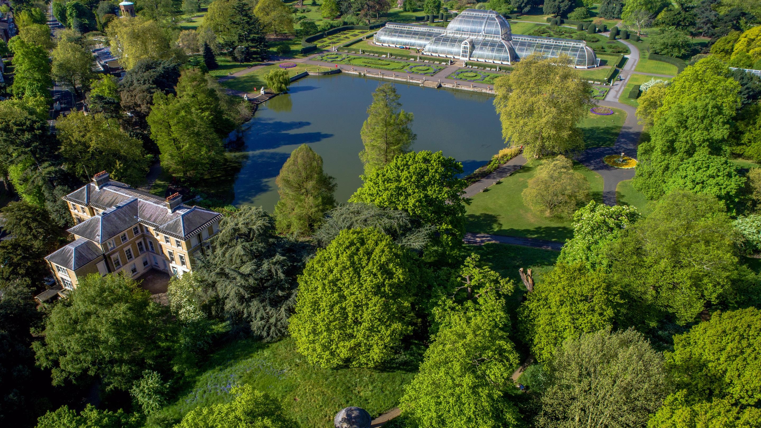 Royal Botanic Gardens Kew Linkedin