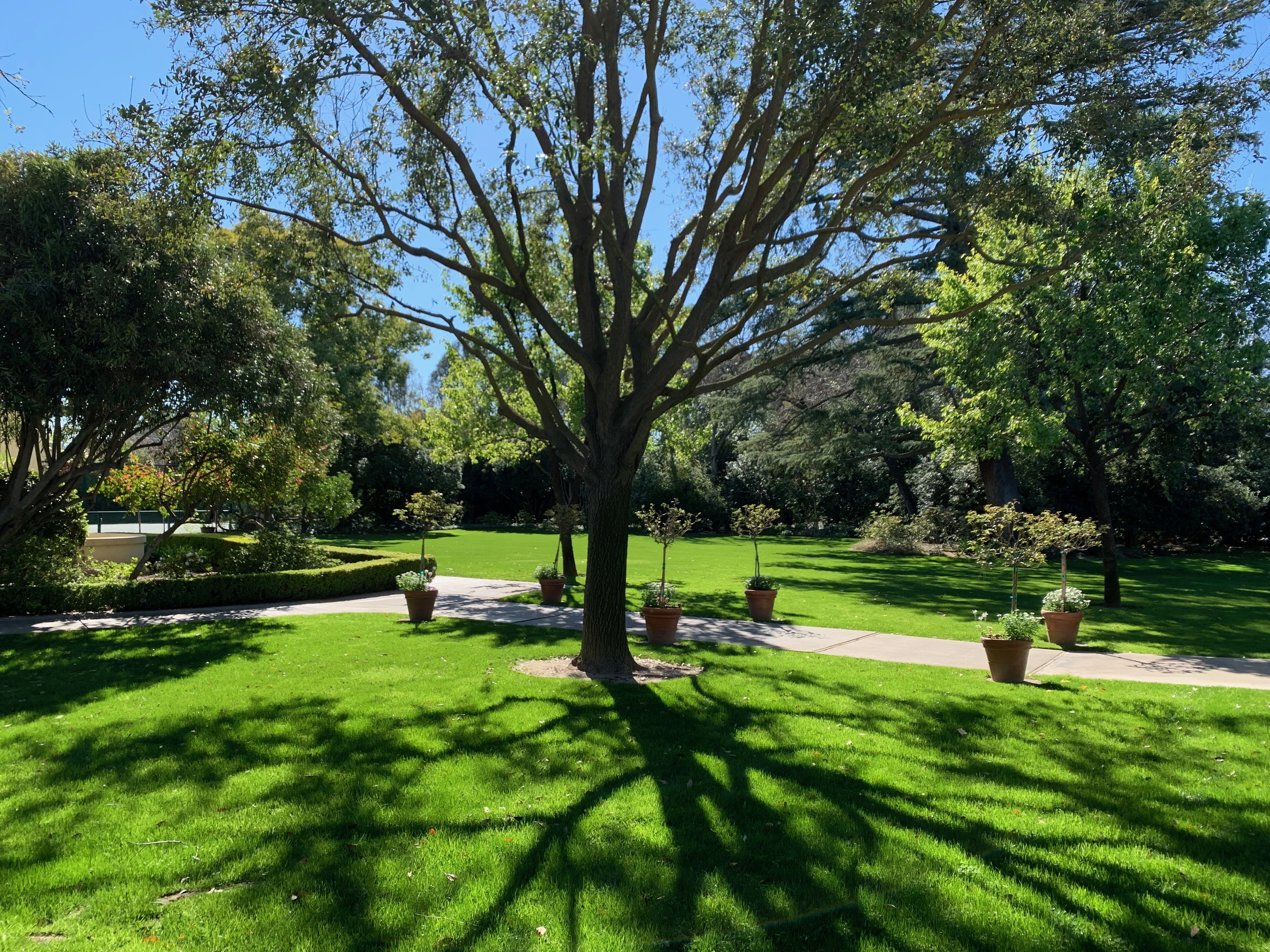 Fig Garden Swim Amp Racquet Club Linkedin