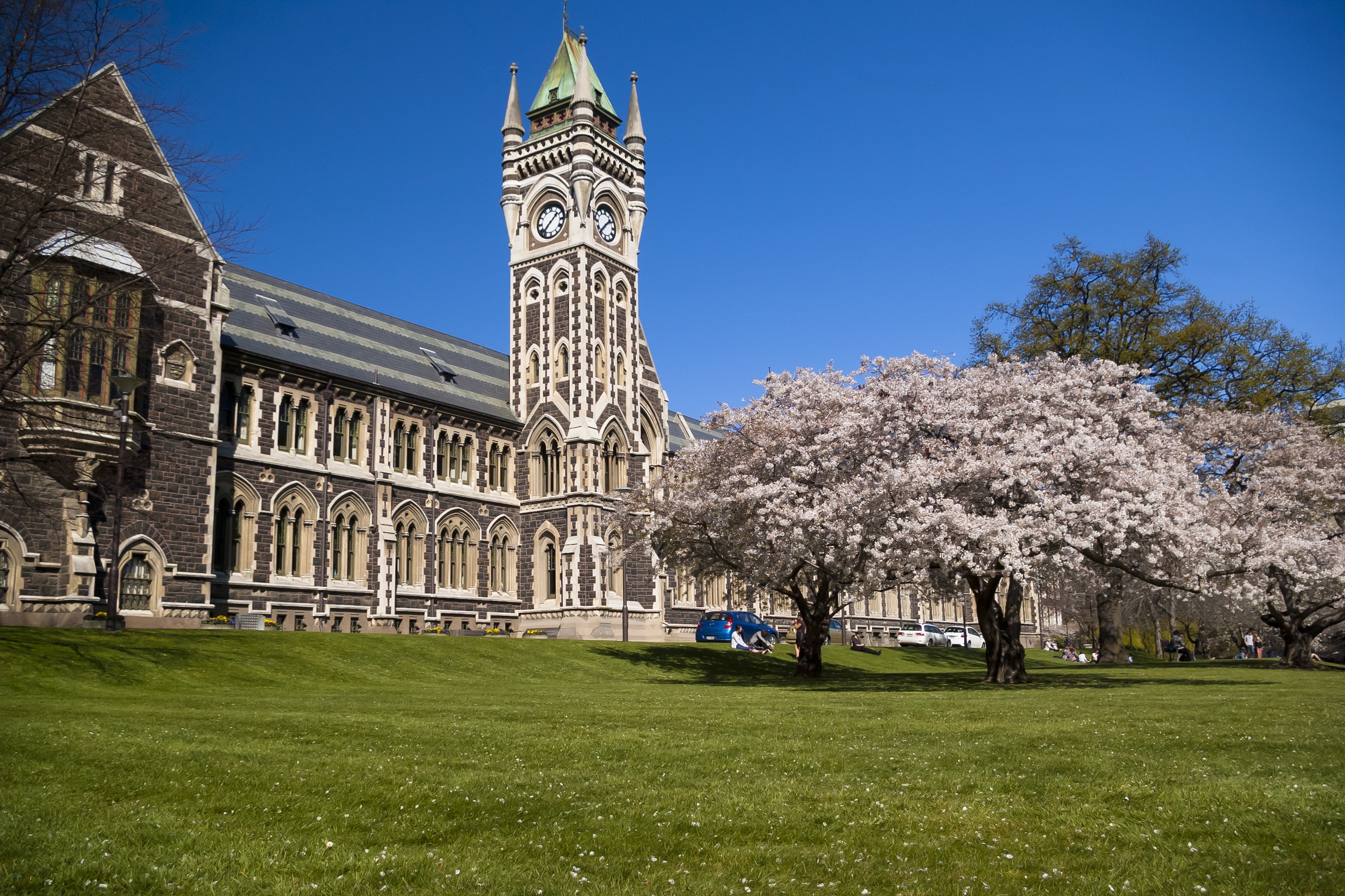 University of Otago, Top 10 Universities In New Zealand For Architecture