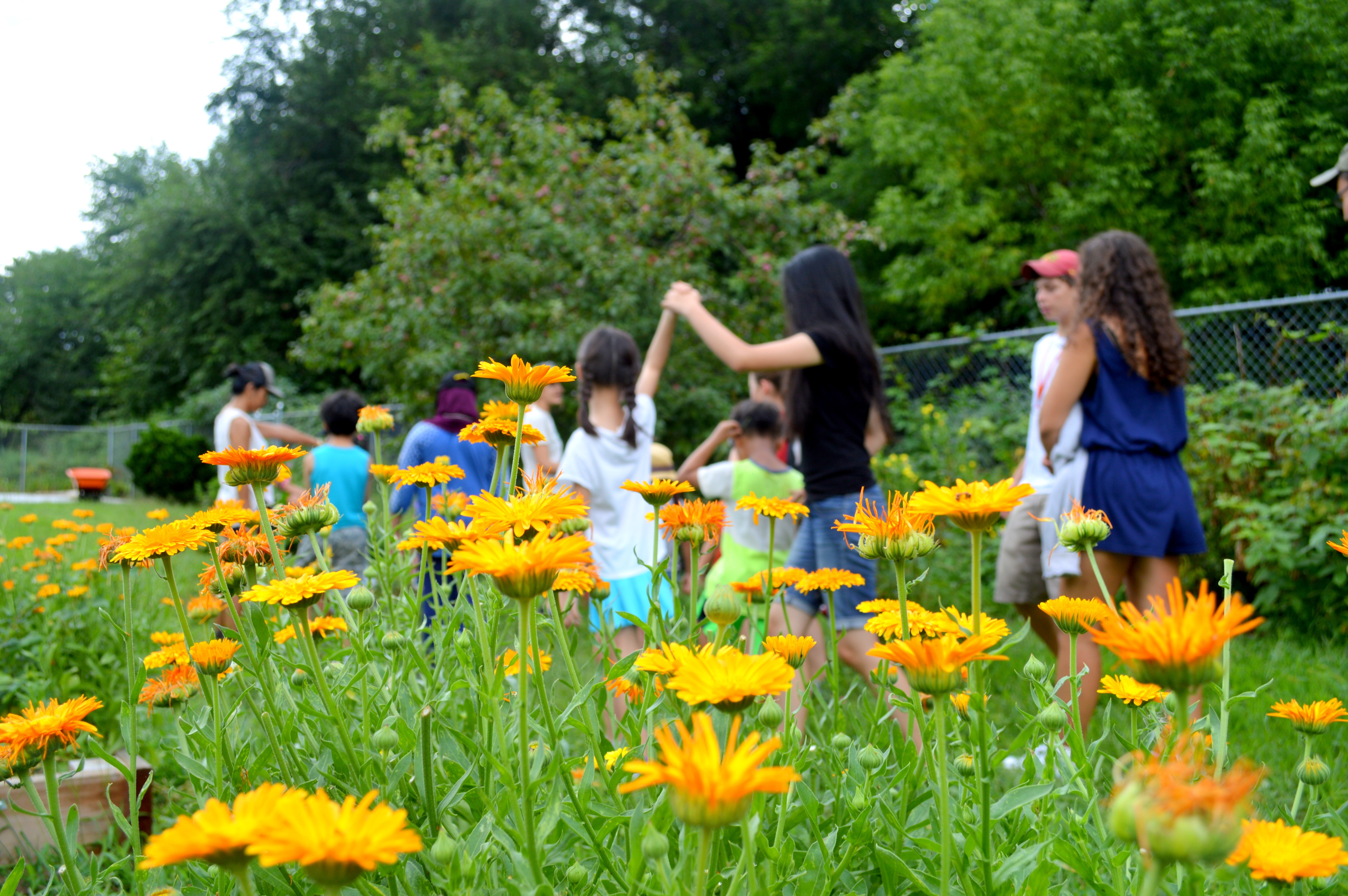 Queens Botanical Garden Linkedin