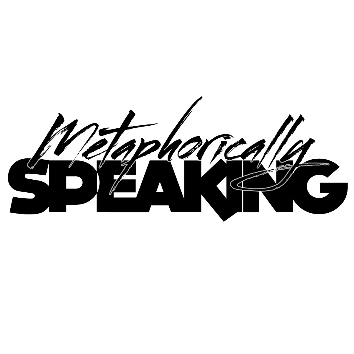 Metaphorically Speaking, LLC | LinkedIn