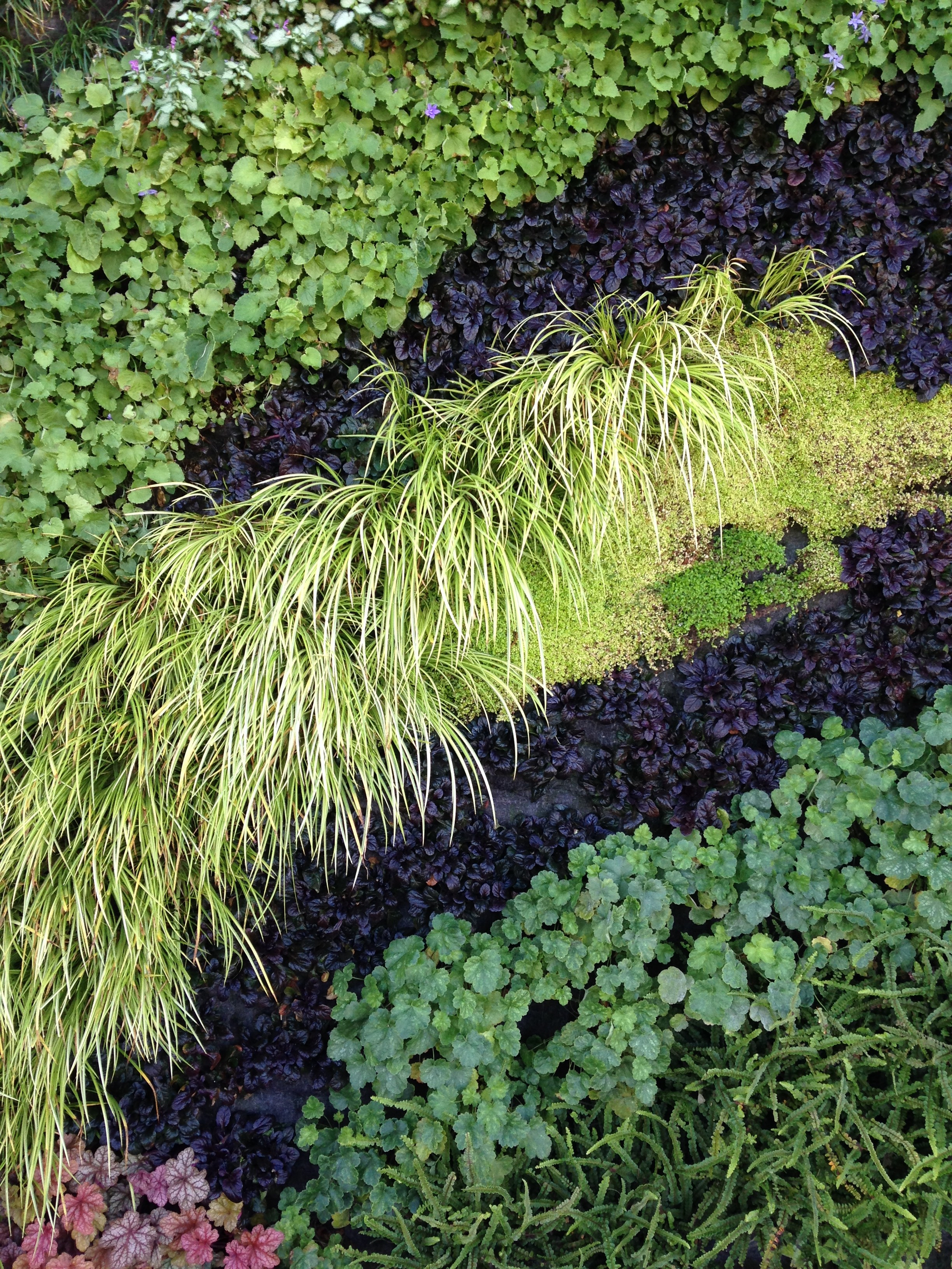 Lotus Water Linkedin