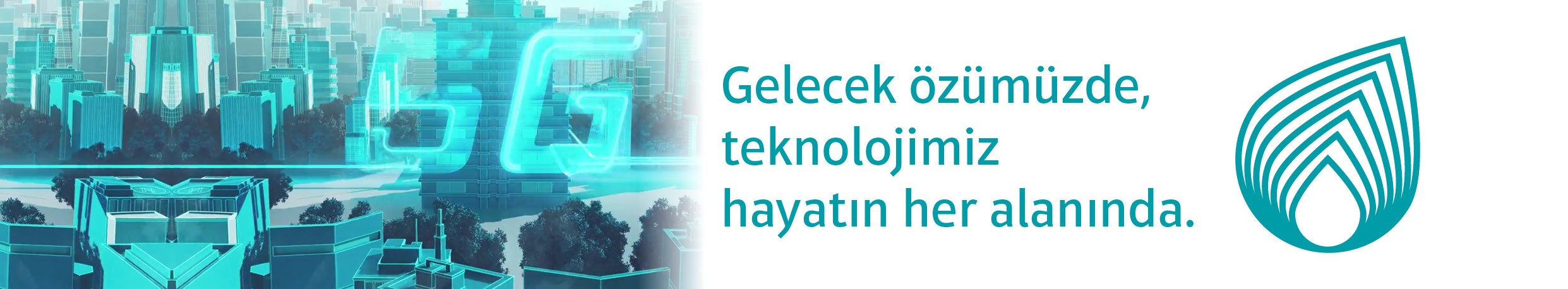 Netas Is Ilani Linkedin