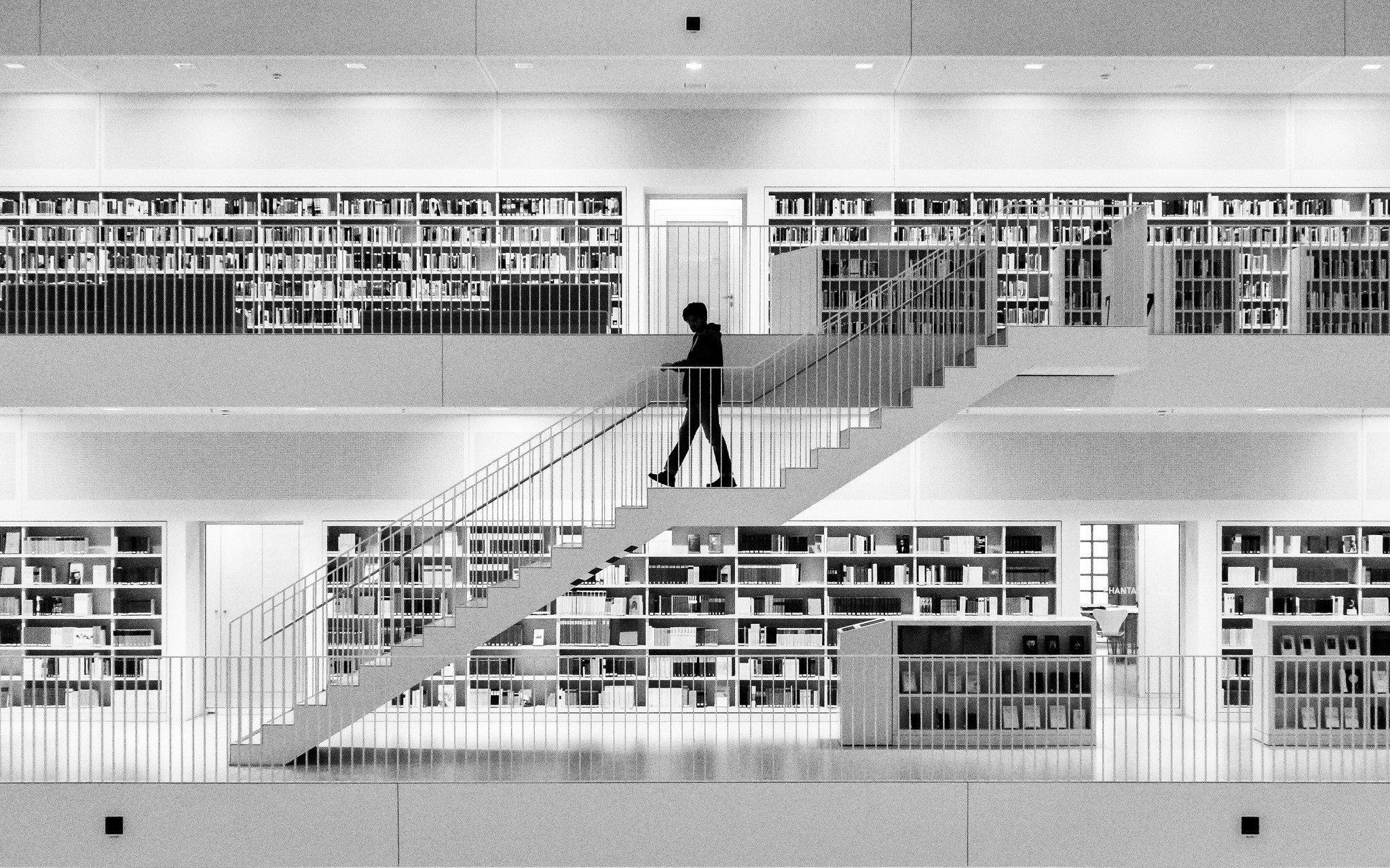 Using c library in c. Библиотека силуэт. Силуэт библиотеки здания. Библиотека архитектура белая. Человек на лестнице в библиотеке.
