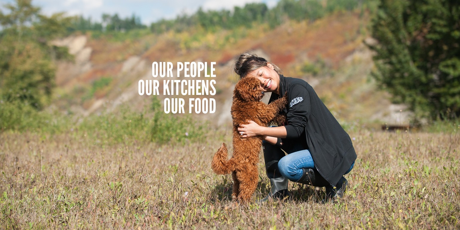 Champion Petfoods Linkedin The rancher's choice champions product line includes four dry dog foods. champion petfoods linkedin