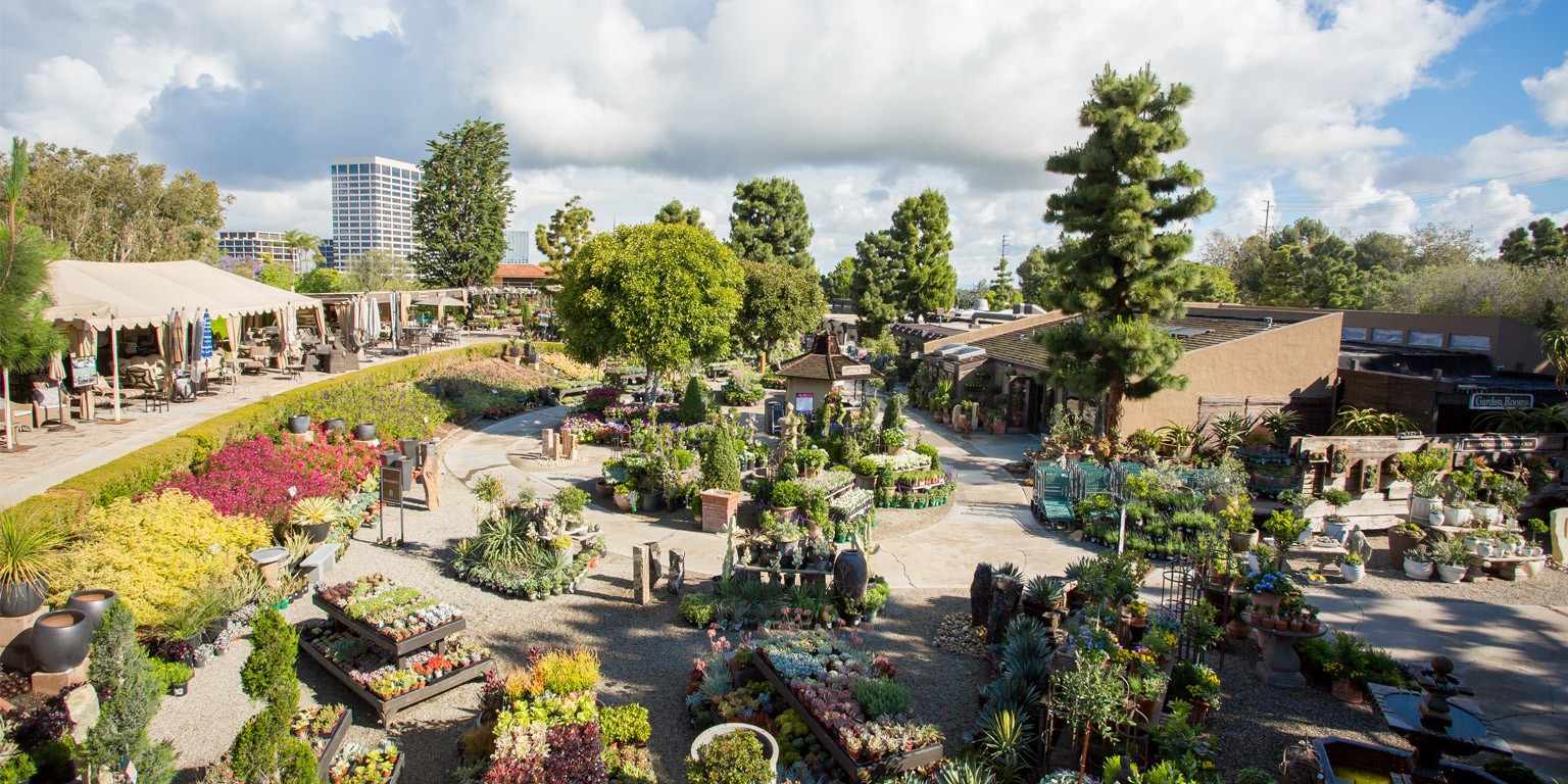 Roger 39 S Gardens Linkedin